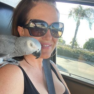 Meet your Posher, Todd